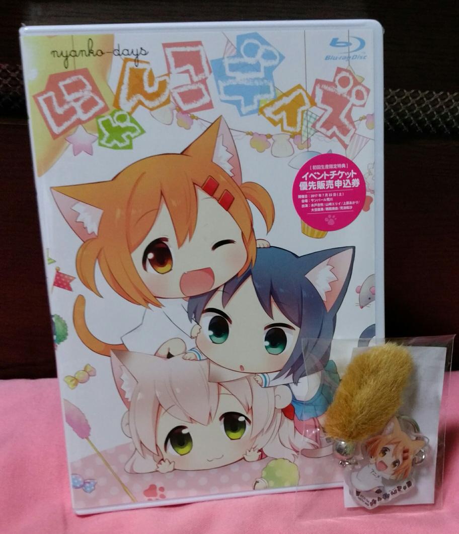 ☆SALE|公式通販| にゃんこデイズ：びでおぐらむ にゃんこデイズ