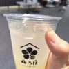 4月20日、梅乃宿酒造の蔵開きに行って来ました